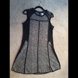Curio NY Dress